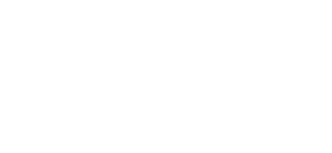 夜の魚夏