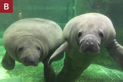 新屋島水族館