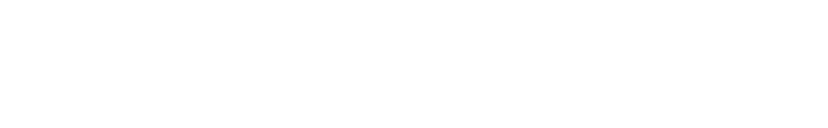 夜の魚夏