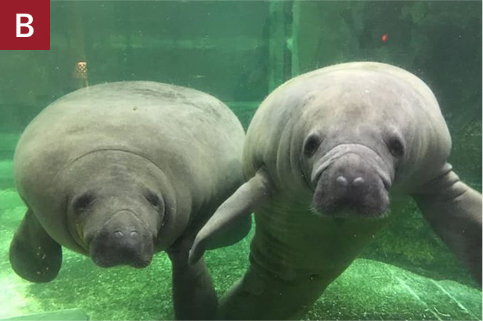 新屋島水族館